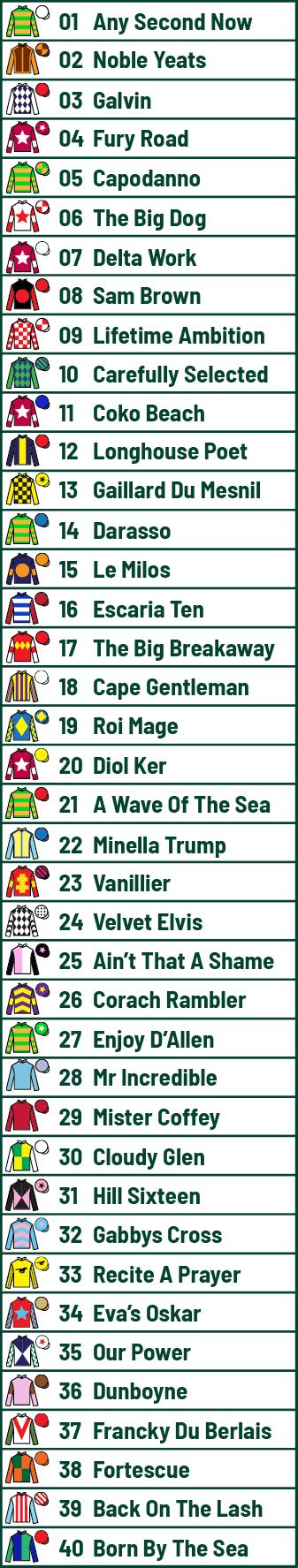 All you need to know about the 2024 Grand National .